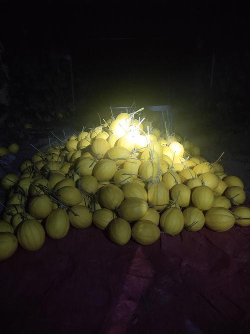 吃蜜瓜影视,带你领略影视世界的甜蜜滋味