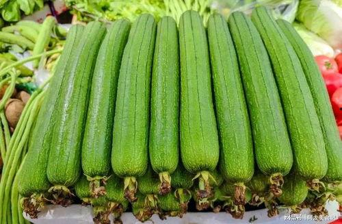 冬天没瓜吃,揭秘冬季瓜类美食之旅