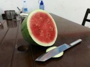 同事喜欢吃瓜,揭秘同事的“瓜”情趣