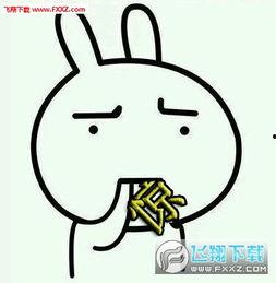 吃瓜合集表情包下载,趣味横生的网络文化盛宴