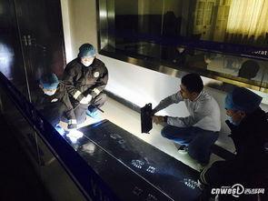 吃瓜破案 九零刑侦,九零刑侦团队破解迷案