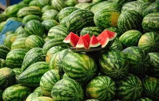 51吃瓜今日吃瓜二舅,揭秘今日热门话题“吃瓜二舅”背后的故事