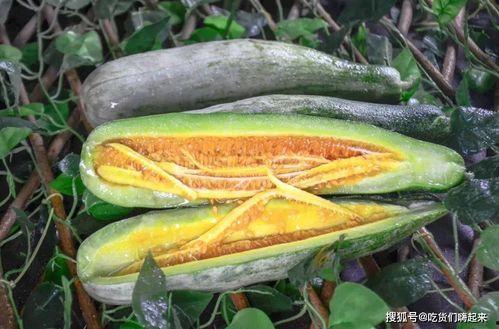 晋江超鹿吃瓜,揭秘娱乐圈背后的那些事儿