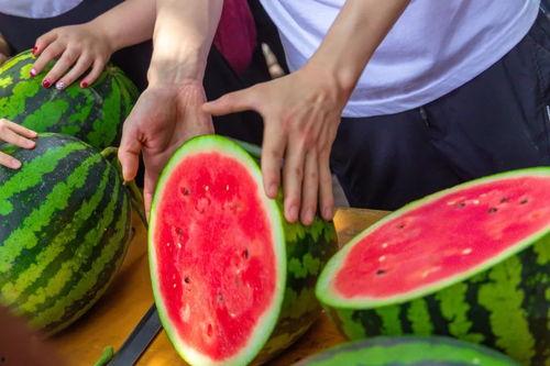 大学吃瓜照片,揭秘大学里的那些“吃瓜”瞬间