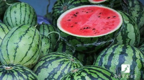 一瓜两吃用什么瓜好西瓜,西瓜变奏，一瓜两吃的创意料理