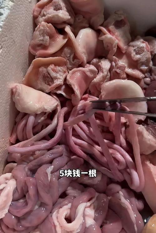 猪小弟吃瓜,猪小弟的瓜田奇遇记